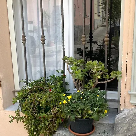 Casa Minu Siotto Pintor Διαμέρισμα